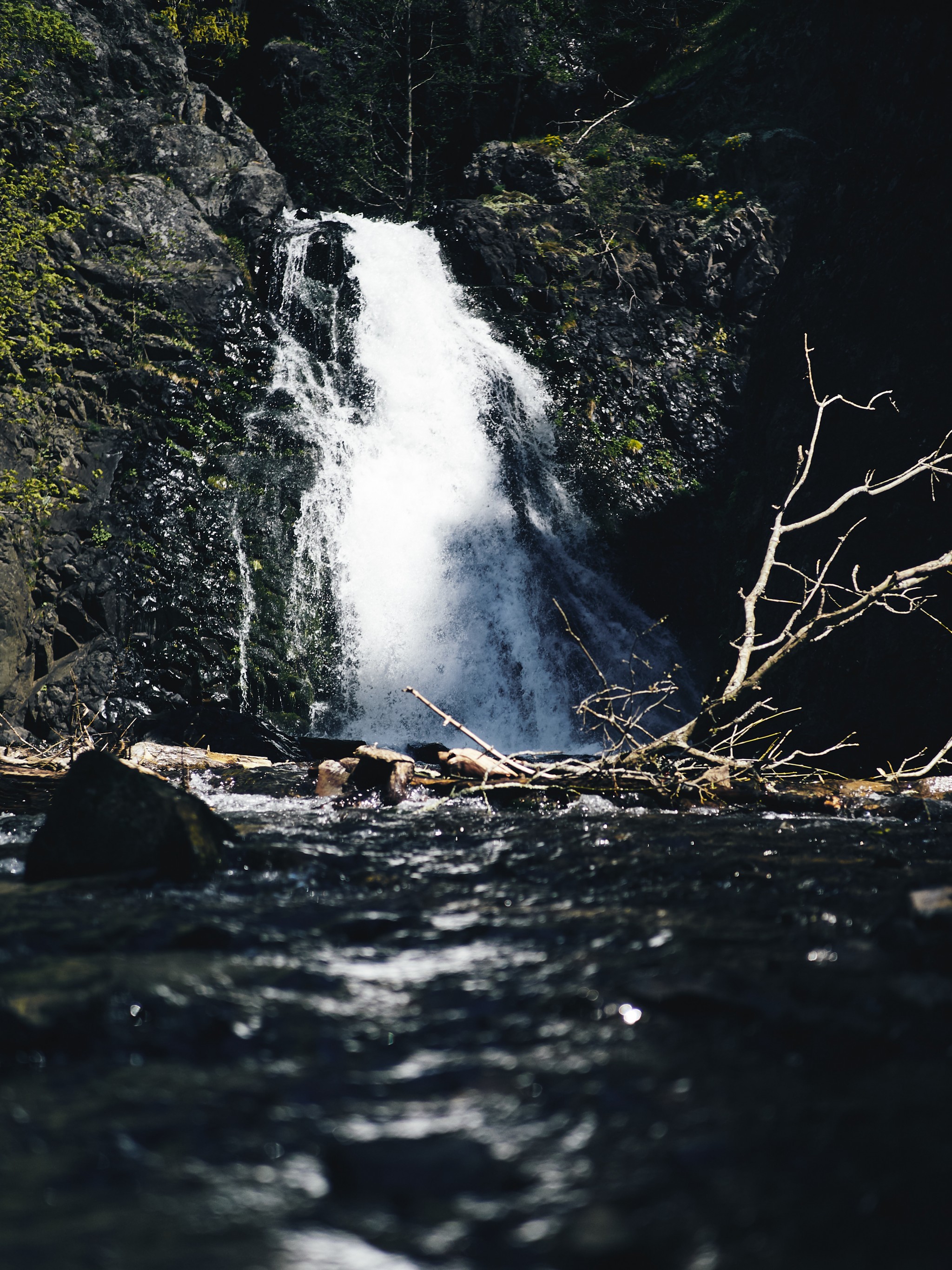 03-Dog-Creek-Falls.jpg