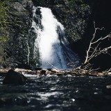 03-Dog-Creek-Falls