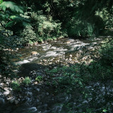 01-Salmon-River