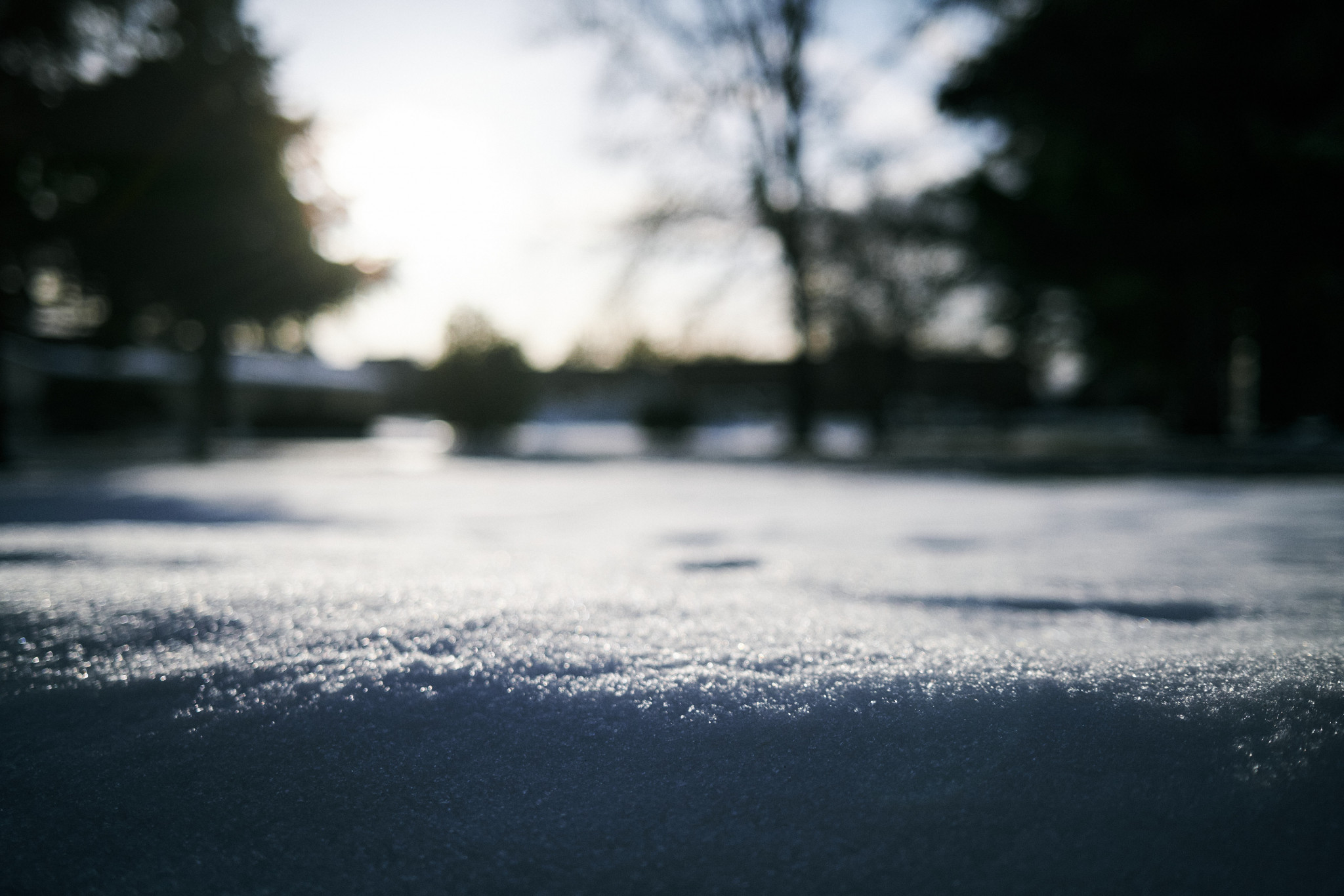 Sunlit-Snow.jpg