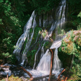 Panther-Creek-Falls