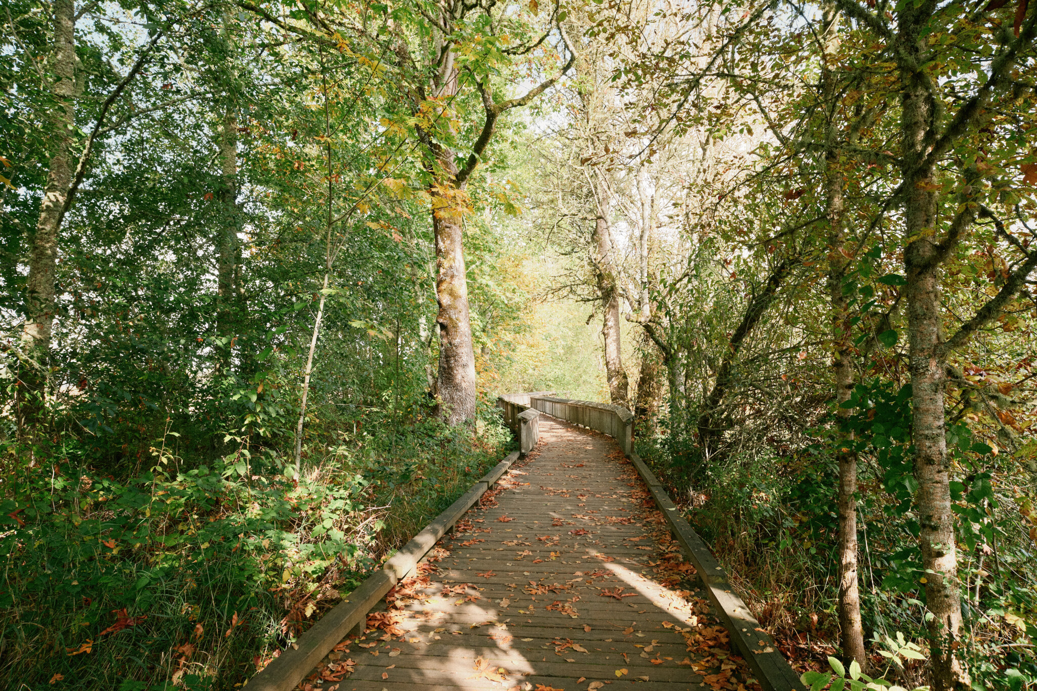 Boardwalk