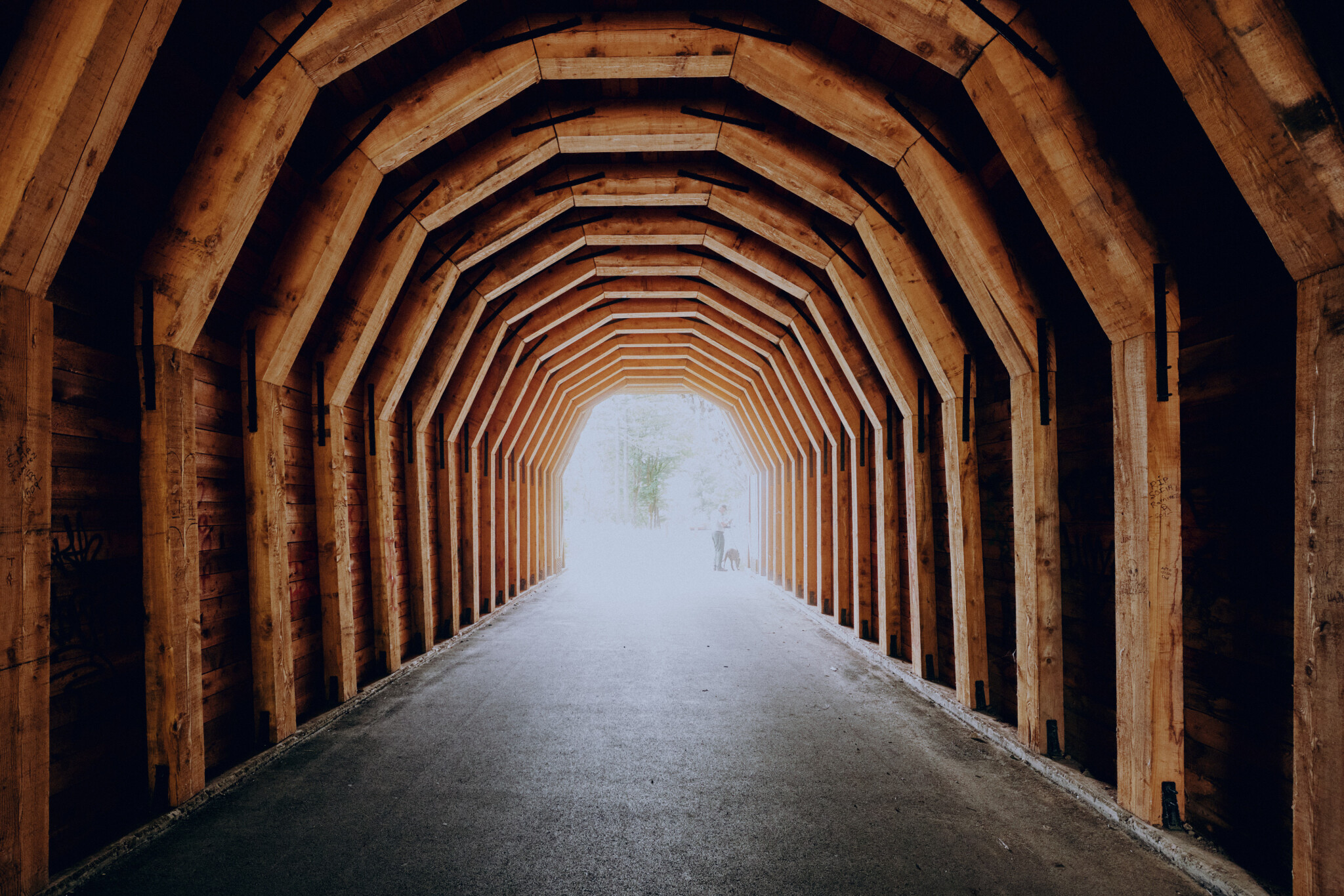 Oneonta-Gorge-Tunnel.jpg