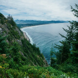 Manzanita