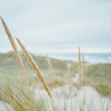 Oceanside