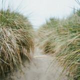 Path