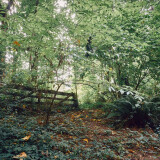 Garden-Path