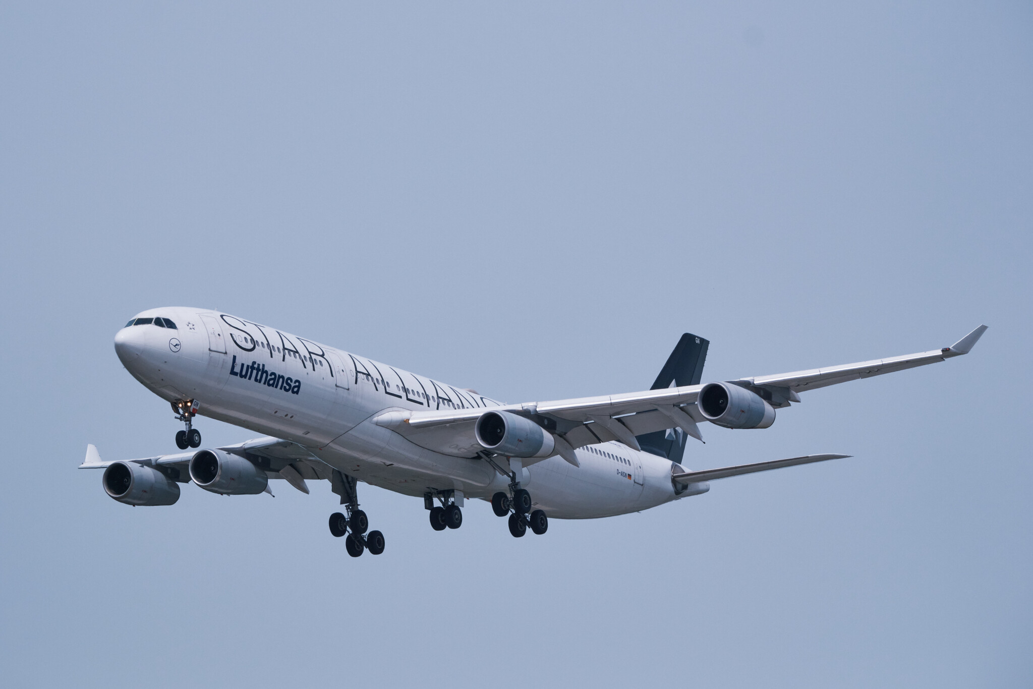 Lufthansa-Airbus-A340-300-D-AIGN.jpg