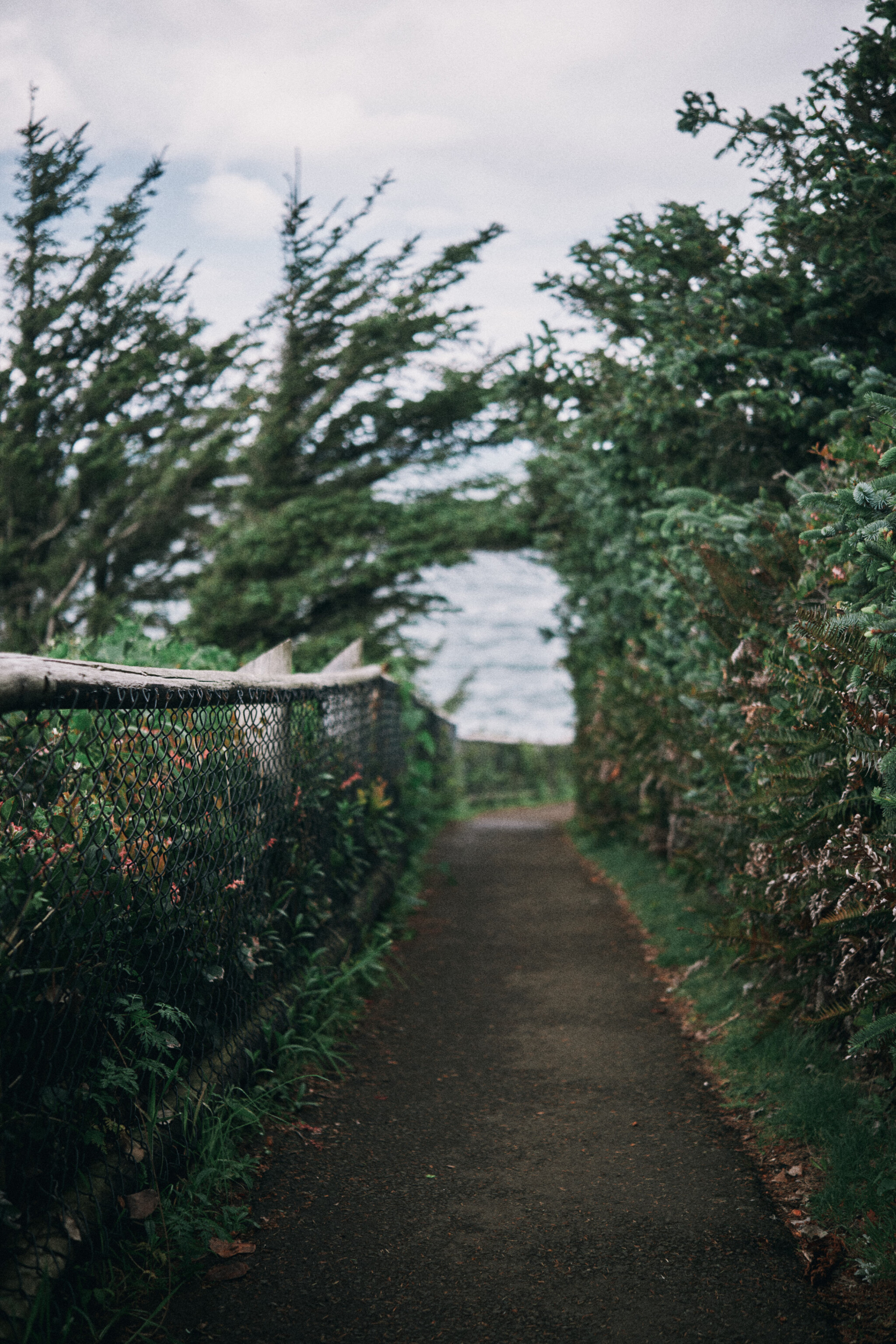 Walking-the-Path.jpg