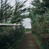 Walking-the-Path