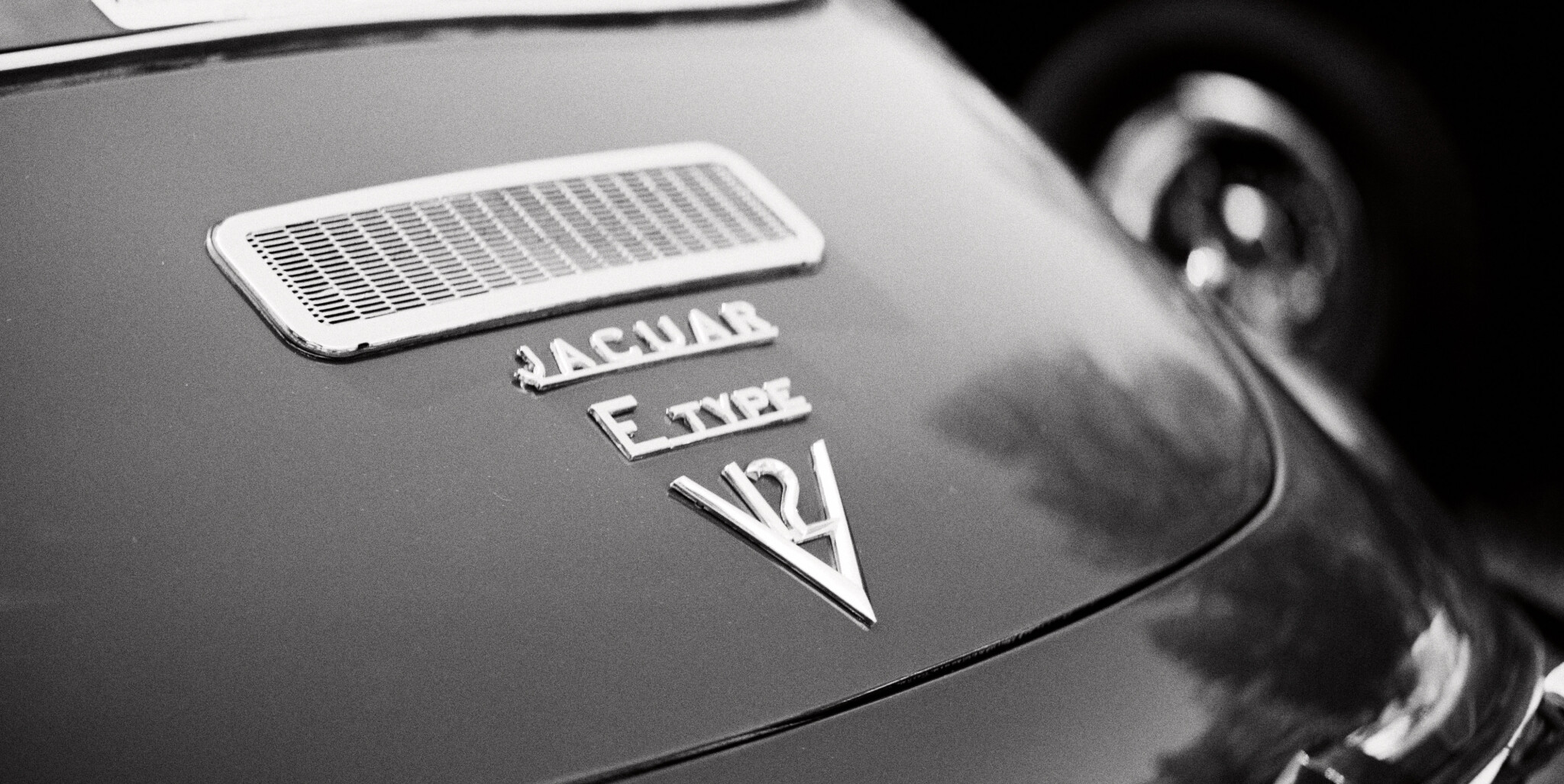V12.jpg