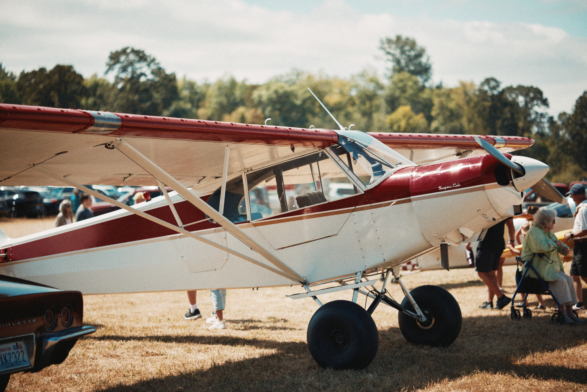 Super-Cub.jpg