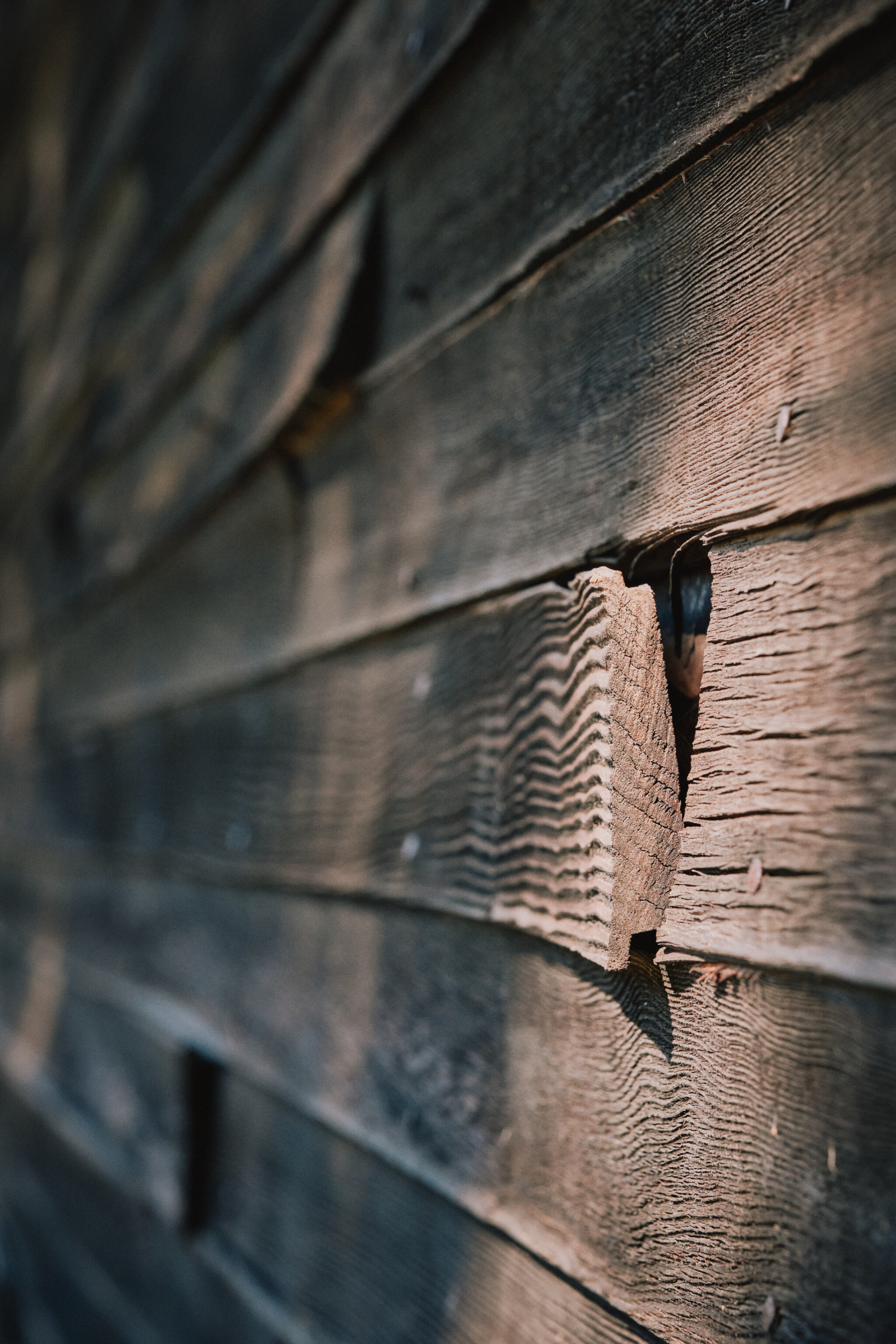 Dry-Kiln-Wall.jpg