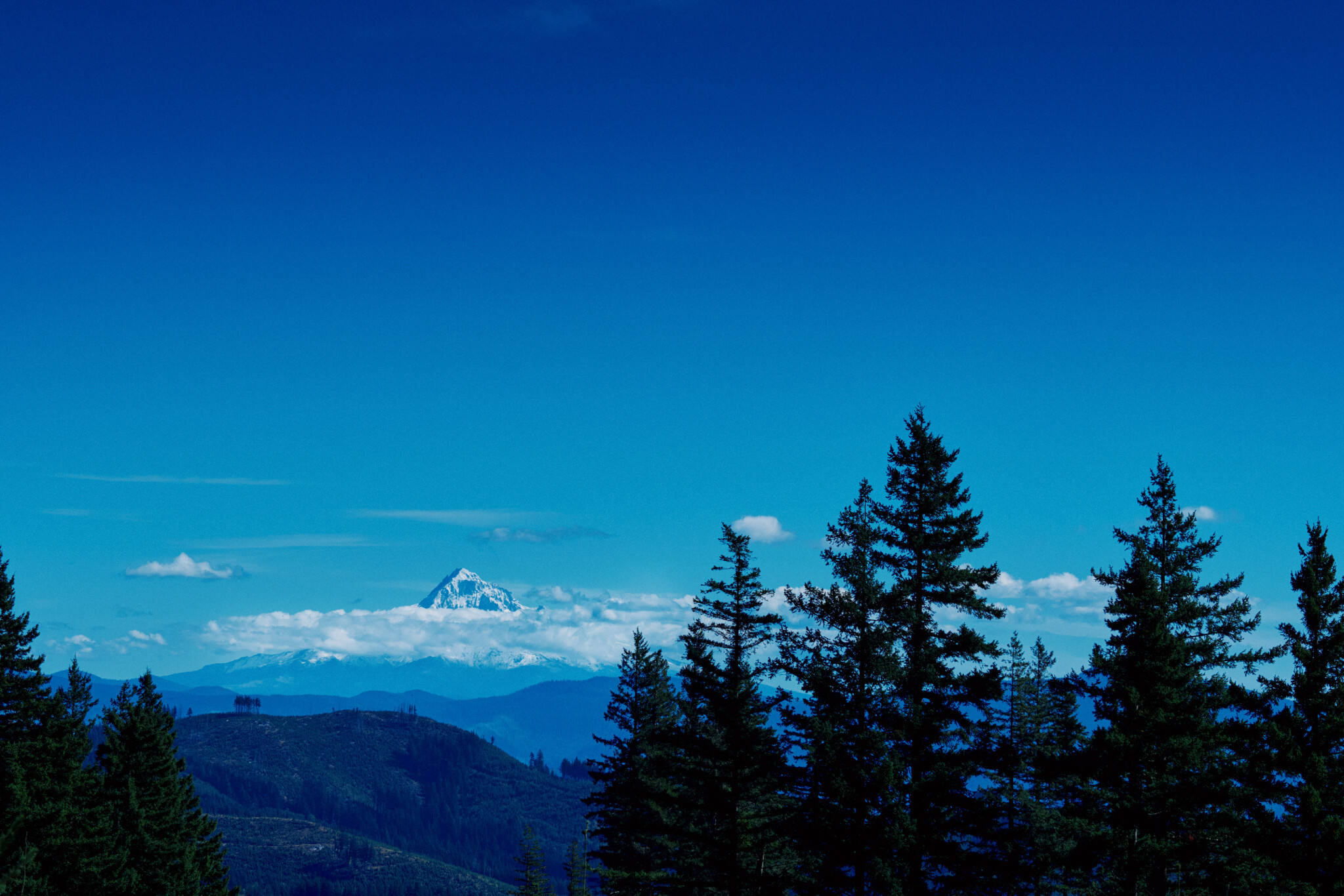 Mount-Hood.jpg
