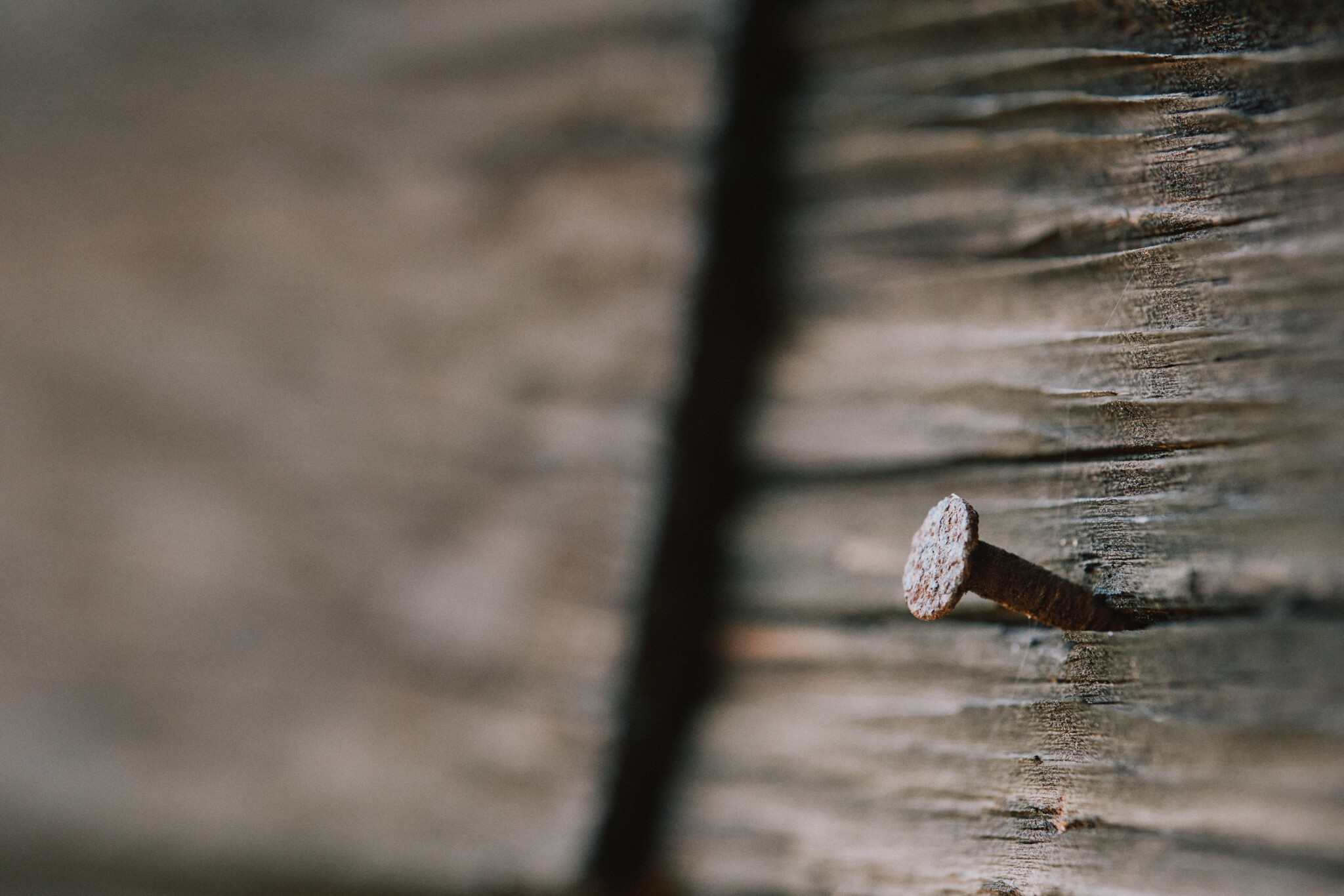 Nail.jpg